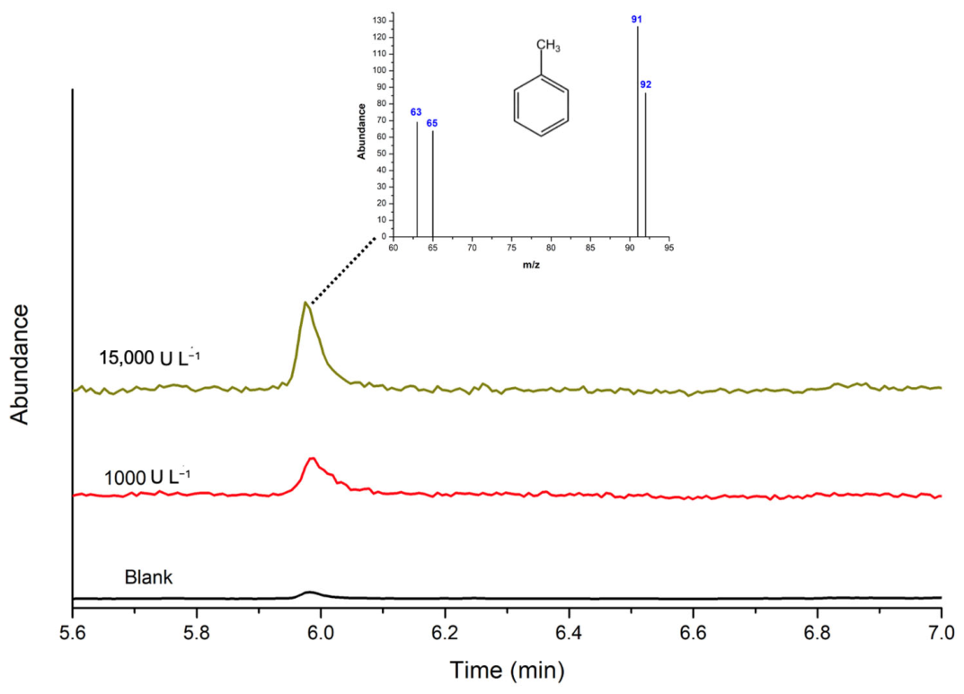 Catalysts 16 00872 g007 Catalysts 16 00872 g007