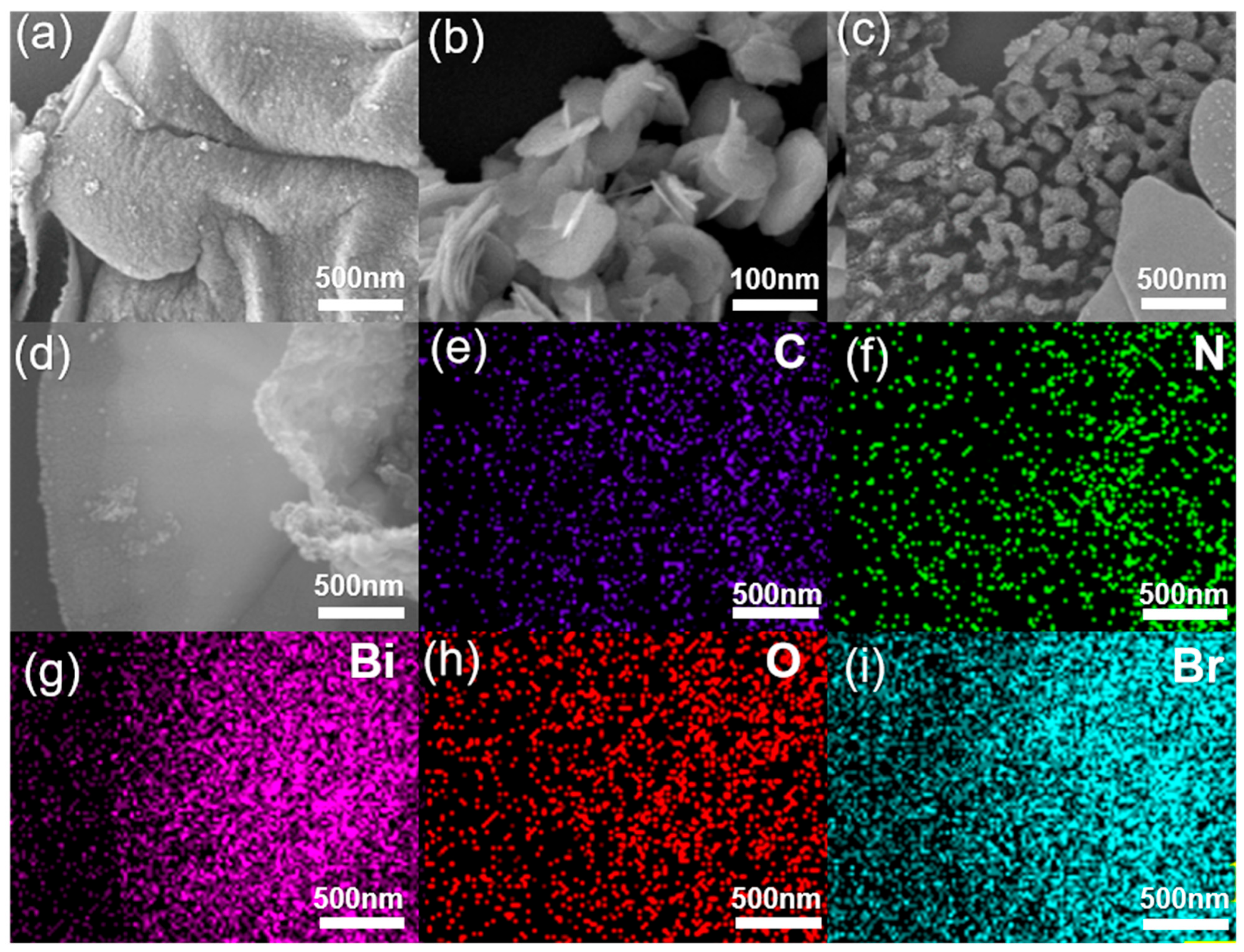 Catalysts 16 00905 g003