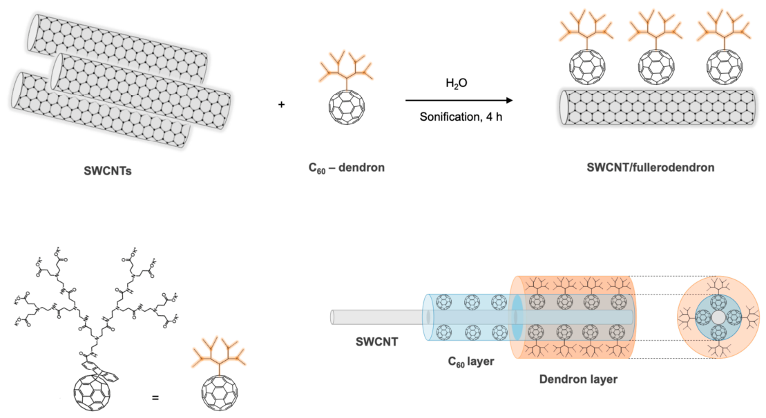 Catalysts 16 00933 g001 Catalysts 16 00933 g001