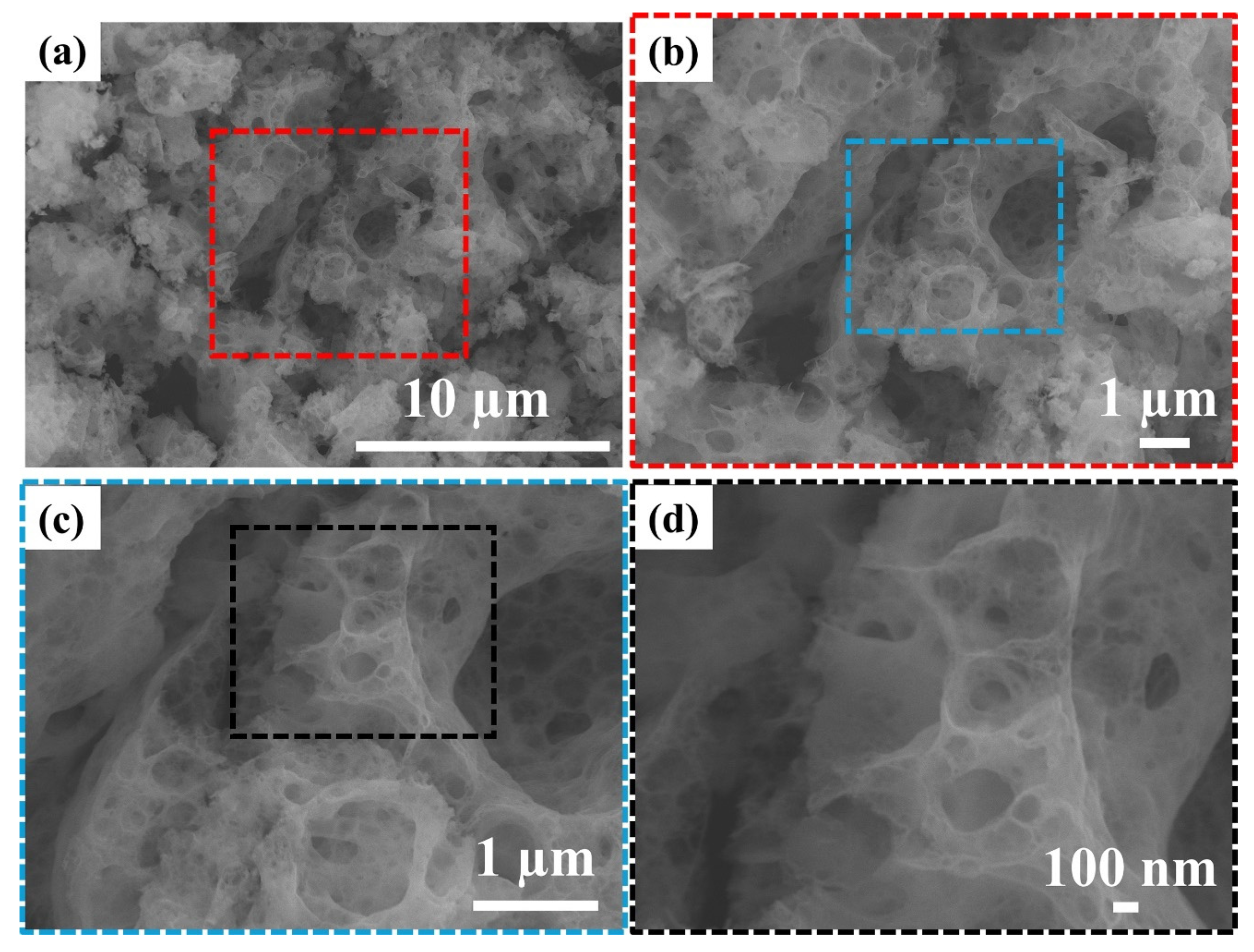 Catalysts 16 00934 g002 Catalysts 16 00934 g002