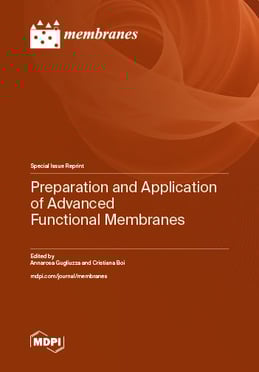 Preparation and Application of Advanced Functional Membranes