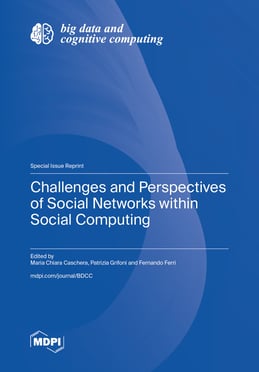 Challenges and Perspectives of Social Networks within Social Computing