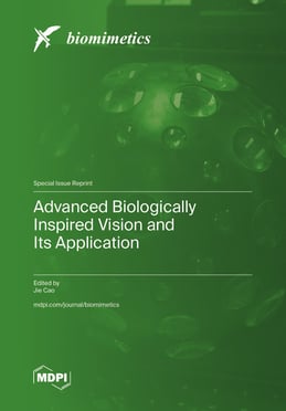 Advanced Biologically Inspired Vision and Its Application