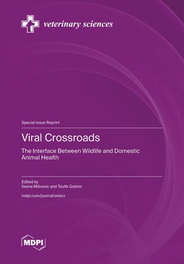 Viral Crossroads