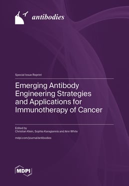 Emerging Antibody Engineering Strategies and Applications for Immunotherapy of Cancer