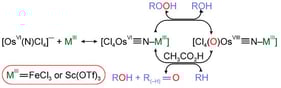 Heterolytic pathway of peroxide activation: transfer of an oxygen atom and successive removal of the hydrogen atom.
