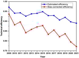 Efficiency scores and bias-corrected estimates.