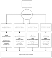 Functional architecture of fragmentation and its domains.