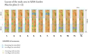 Experimental layout of the field plots used during the study (Source: Own work).