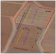 Location of field experiment site in Pukekohe (−37.3187 S, 174.9985 E). Adapted from Ref. [22].