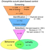 Flowchart describing data gathering and filtering from scientific papers published in Web of Science and Scopus databases (2019–2024).