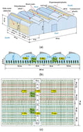 3D schematic of the experimental greenhouse with dimensions of side vents installed in the season 2021/22 (a); vertical profile (b) with the position of the temperature and humidity sensors (T-RH), solar and PAR sensor (RPAR and RSOL); and locations of the plant rows (R1–R4) used to measure growth, production and photosynthesis parameters (c). Red and blue rectangles indicate the plant rows selected for measurements.