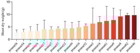Dry weight of aboveground parts of different peanut varieties. The specific variety names of the 18 peanut accessions shown in the figure are provided in the Table S1.