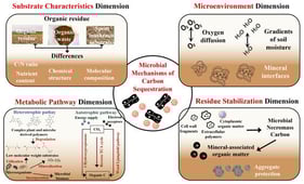 Conceptual framework illustrating the four-dimensional microbial C sequestration mechanism (“substrate—microenvironment—metabolic pathway—residue stabilization”) under different types of organic residue inputs and their subsequent degradation in Mollisols.