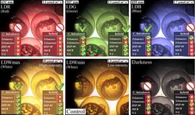 A system of boxes with individual lighting: (a) an aluminum lid with mounted RGBW LED strips, (b) separate 12-well plates containing incubating whitefish eggs, (c) general view of a foam box with individual thermometers, (d) a system of boxes with holes for aeration inside a refrigerated unit at a temperature of 1–6 °C.