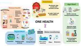Major application domains of bacteriophages within the one health framework, including human, veterinary and aquaculture health, environmental applications and the agri-food sector.