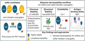 Stages of manufacturing of sdAb-chelator conjugates. Figure created with BioRender.com.