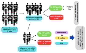 Overview of the study design.