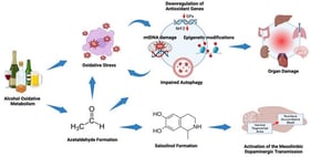 Genetic polymorphisms in alcohol metabolism and their clinical implications. The table classifies individuals into five groups based on their ADH1B and ALDH2 genotypes, alcohol sensitivity, and flushing response. These groupings correlate with specific clinical risks, such as alcohol dependence, cirrhosis, and upper gastrointestinal cancers. Alcohol-induced hepatic damage is mediated by the direct hepatotoxic effects of alcohol, the accumulation of acetaldehyde, and the disruption of the gut barrier. → represents a moderate flushing response, ↑ represents a severe flushing response, and ↑↑ represents a very severe flushing response.  Reprinted/adapted with permission from Ref. [33]. 2025, T. Tadokoro.