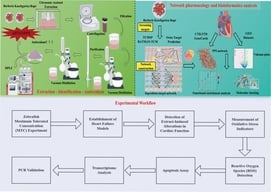 Identification of components in BKR extracts. (A) Depicts the total ion current (TIC) chromatogram of the samples in positive ion mode; (B) illustrates the TIC chromatogram of the samples in negative ion mode. The blue triangle in the lower-left corner indicates the starting point of LC-MS data acquisition.
