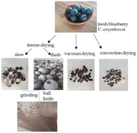 Scheme of dried blueberry preparation.