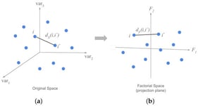 Cloud of points in the original p-dimensional space (a) and the cloud of transformed points in the new Factorial Space (b). 
  
    
      d
      X
    
    
      i
      ,
      
        i
        ′
      
    
  
 and 
  
    
      d
      F
    
    
      i
      ,
      
        i
        ′
      
    
  
 denote, respectively, the distance, between two different points i, and 
  
    i
    ′
  
, in the original space and in the Factorial Space. Credits: Aluja et al. [32].