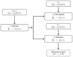 A schematic diagram of the nonlinear kinetic structure showing state variables and their relationships through kinetic constants and yield couplings.