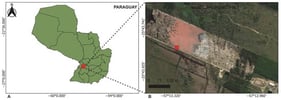 The geographic location of the sampling site. (A) A map of Paraguay showing the region where the sampling point is located. (B) A satellite view of the study area, indicating sampling point P1E1. Source Information: Map layers were adapted from multiple sources. Panel (A) uses cartography from the Instituto Nacional de Estadística (INE), Paraguay (https://www.ine.gov.py/microdatos/cartografia-digital-2022.php (accessed on 30 September 2025)), Public Information Use License. The basemap in Panel (B) was adapted from ©MapTiler and ©OpenStreetMap contributors (https://openmaptiles.org/ (accessed on 30 September 2025)), used under the Open Database License.
