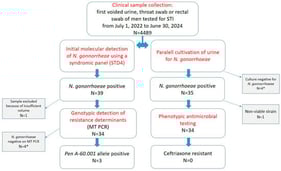 Conceptual framework of the research. STD4-multiplex PCR syndromic panel, MT PCR-multiplex tandem PCR. * Note: All samples that were negative by culture were also negative when tested with the MT PCR assay for Neisseria gonorrhoeae.