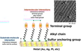 Illustration of a self-assembled monolayer (SAM) of thiols on gold and scanning tunneling microscope image (20 × 20 nm2) of the SAM of n-butyl thiol on Au(111).