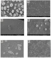Change in the morphology of the starch granule in the flour after the ACC treatment. (A): Native flour, (B): 1.5% FN and 10 passes, (C): 2.5% FN and 15 passes, (D): 2.5% and 20 passes, (E): 1.5% FN and 20 passes, (F): 1.5% FN and 20 passes.
