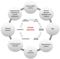 Factors influencing the development of infection in the wound, and stages of infection development. The outer circle shows environmental and host/patient factors influencing the development of infection in the wound, while the inner circle shows the subsequent stages of its development. There are six stages of infection development, from contamination, local colonization (bacteria start to multiply), through critical colonization, to local infection (when bacteria start to form a biofilm), then spreading infection, and systemic infection.