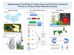 Geographic location of the eddy covariance (EC) flux tower at Haihu Wetland Park, Xining City, northeastern Qinghai–Tibetan Plateau, China (36°39′13.21″N, 101°41′13.62″E).