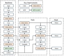 Architecture of the improved YOLO11 model.