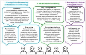 Summary of themes and sub-themes identified from the synthesis of stage one and two interviews. Main themes are in coloured text and sub-themes in colour-matched speech bubbles, including an explanation of the sub-theme in non-bolded text.