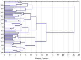 Dendrogram from hierarchical cluster analysis illustrating linkage distances between observations based on standardized psychological variables. The marked increase in linkage distance supports a three-cluster solution (k = 3).