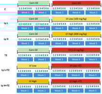 The experimental design.