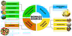 Classification of biomass sources.