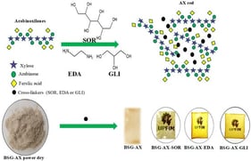 FT-IR spectra of thermoplastic films. BSG-AX-S/P is a control (without plasticizer). BSG-AX-GLI (with glycerol), BSG-AX-SOR (with sorbitol), and BSG-AX-EDA (with ethylenediamine).