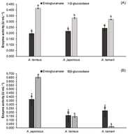 Endoglucanase and β-glucosidase production by different fungal strains of the genus Aspergillus under solid-state (A,B) sequential fermentation conducted at 30 °C for 96 h using coffee husks as the substrate. Different letters indicate statistically significant differences among treatments for endoglucanase (A, B) and β-glucosidase (a–c), according to Tukey’s test (p < 0.05).