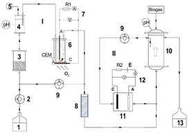 A schematic of the laboratory installation. 1—feed solution; 2—dosing pump; 3—MSR bioreactor; 4—buffer vessel for pH correction; 5—1 N NaOH solution; 6—MFC with air cathode and cation exchange membrane (CEM); 7—MFC load circuit; 8—adsorption column for H2S removal with iron filings; 9—recirculation pumps; 10—bioreactor for biomethanation; 11—microbial electrolysis cell (MEC); 12—MEC load circuit; 13—outlet solution.