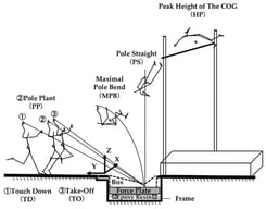 Definition of each analytical phase. TD: touchdown; PP: pole plant; TO: take-off; MPB: maximum pole bending; PS: pole straightening; HP: peak height of COG.