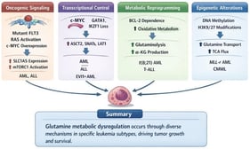 Dysregulation of Glutamine Metabolism in Leukemia.