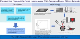 SEM images of the PSi substrate: (a) surface SEM image; (b) cross-sectional SEM image.