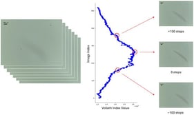 Example of labeled stack of images using Vollath F5 index.