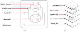 Schematic diagram of microfluidic chip. (a) Overall display of the chip. (b) Layered chip display. (The red circles represent the perforations, indicating the inlet and outlet positions for the solution).