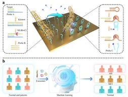 Schematic illustration of target-induced SDA to activate DNA nanotube for cleaving the immobilized probe (a) and machine learning analysis for AD diagnosis (b). Reprinted with permission from ref. [62]. Copyright 2025 Elsevier B.V.