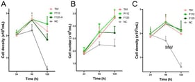 Viable cell counts of HEK293-6E cells from 24 to 120 hpt in three independent experiments (N = 3, biological replicates). Each biological replicate (A–C) was performed in triplicate technical replicates (n = 3), with two cell counts averaged for each sample at each time point.