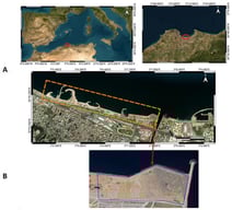 Location of the study site at the Sablettes Promenade, Algiers, northern Algeria. (A) Regional context showing the position of Algiers Bay along the Mediterranean coast (red circle indicates the study location). (B) Detailed view of the promenade: the orange line indicates the park boundaries; the blue line delineates the area actively monitored for plover nests during 2020–2025.