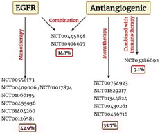 Distribution of clinical trials according to therapeutic target and treatment strategy in lung cancer. The figure summarizes the clinical trials previously identified, classified according to the main therapeutic target (EGFR or angiogenesis) and the treatment strategy employed (monotherapy or combination with other agents, including immunotherapy). The percentages indicate the proportion of clinical trials targeting a specific pathway relative to the total number of clinical trials analyzed, as well as their distribution across the different therapeutic approaches. Trials in which the combination involved only conventional chemotherapeutic agents and no other targeted therapies were included in the monotherapy group. Created in https://BioRender.com (27 January 2026).